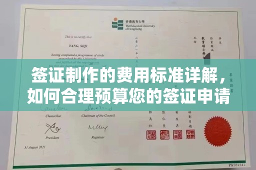 市中区签证制作的费用标准详解，如何合理预算您的签证申请成本